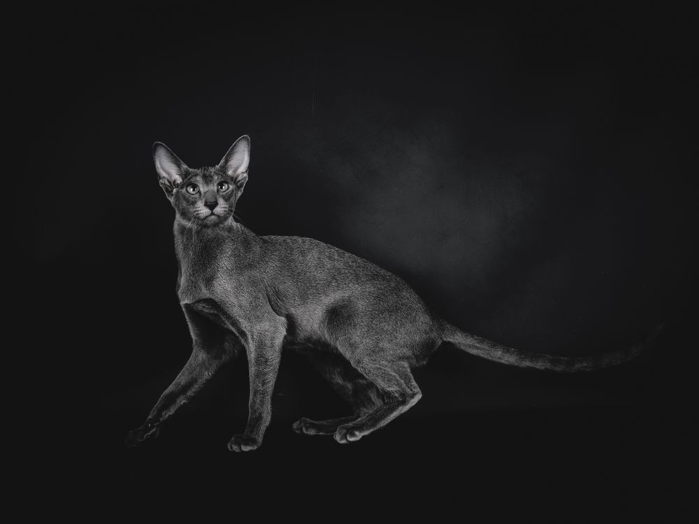 Photograph by Альвина Кузнецова