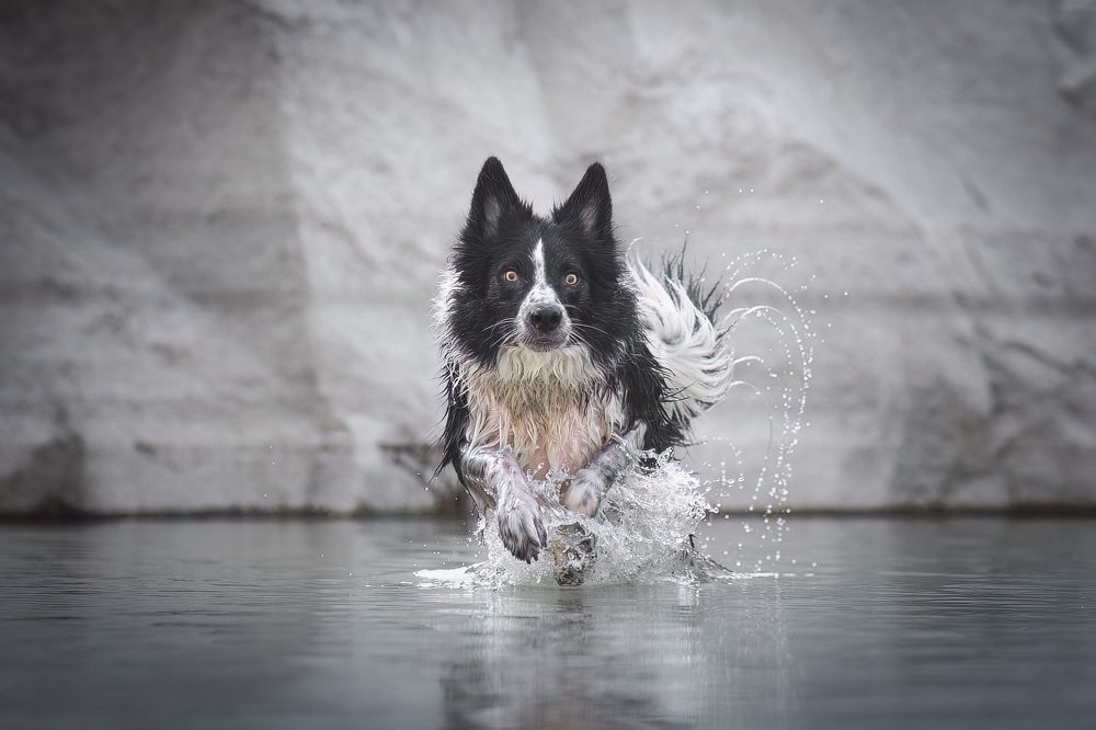 Photograph by GRISELDA FERNANDEZ