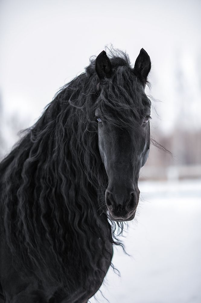 Photograph by Елена Алешечкина