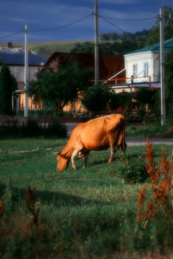 Photograph by Сергей Удовиченко