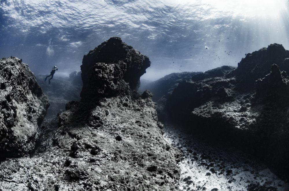 Photograph by ANTONIO RUVER BANDEIRA