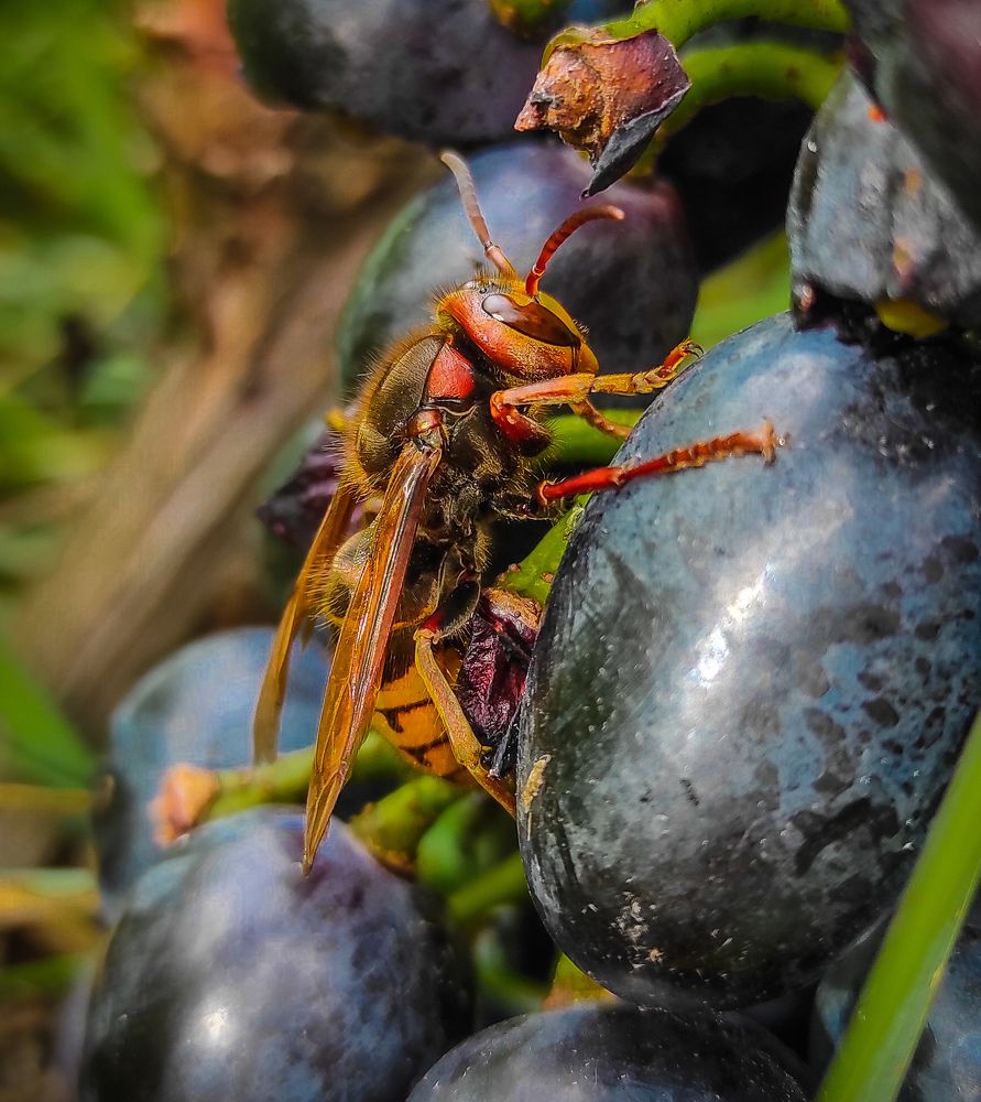 Photograph by Анастасия Семилетова