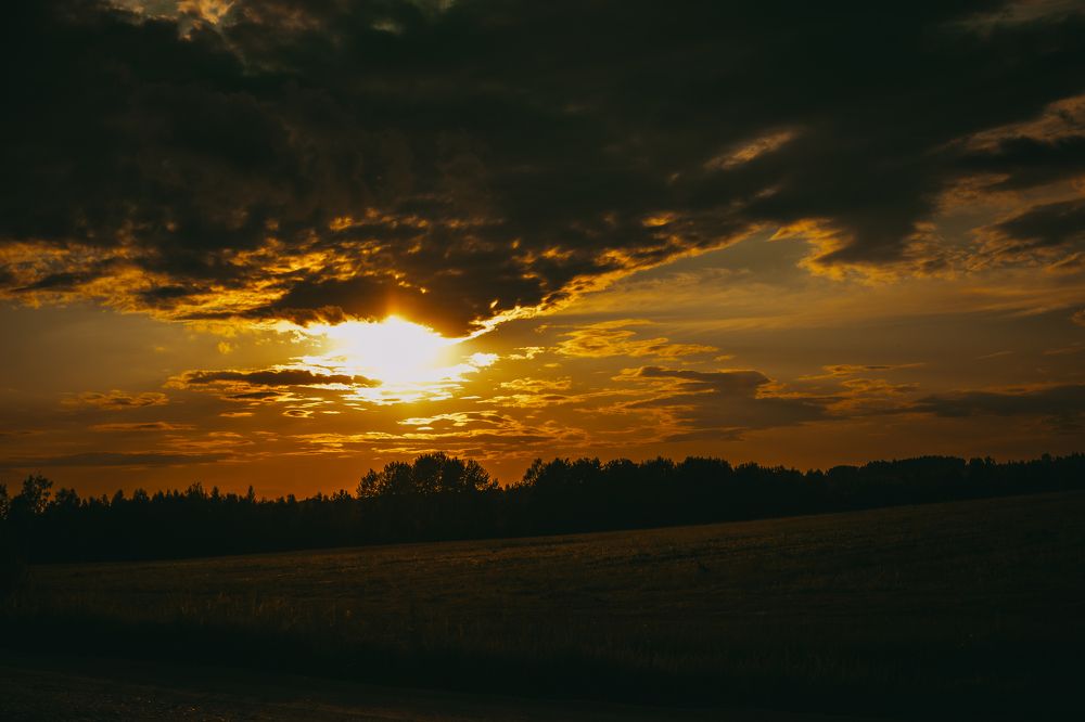 Фотография автора Aamoda Kitchen