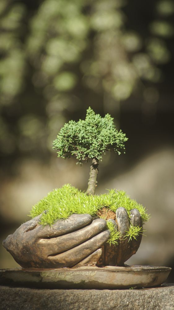 Photograph by Le Tri