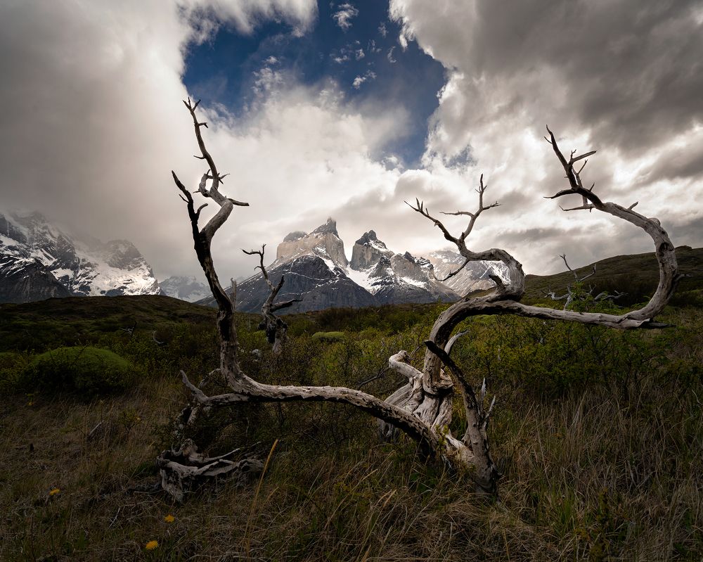 Photograph by Joao Branco