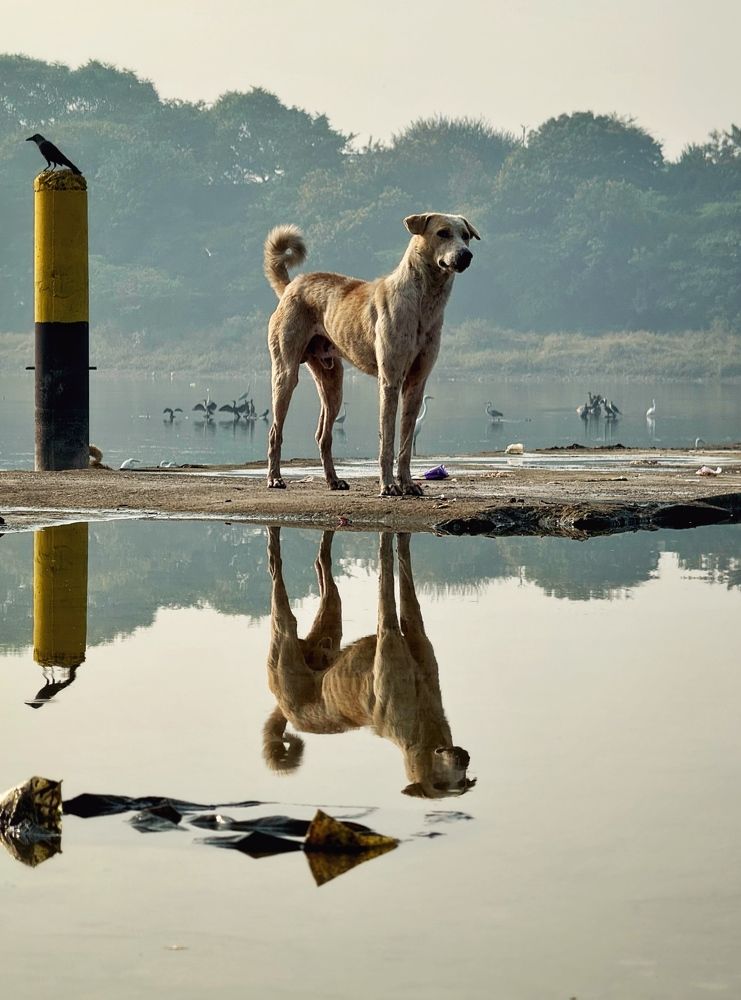 Photograph by Kedar Diwakar Mandakhalikar