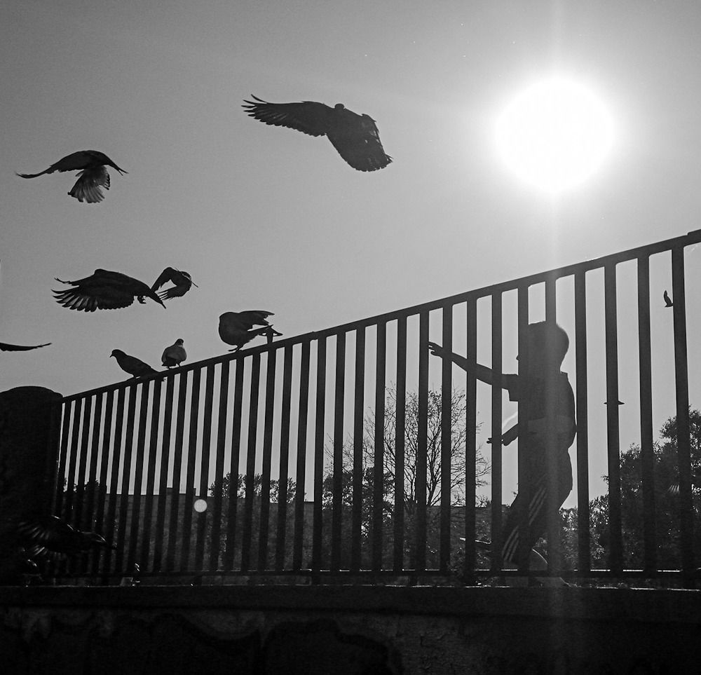 Photograph by Владимир Приходько