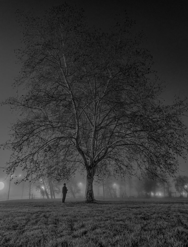 Foggy night