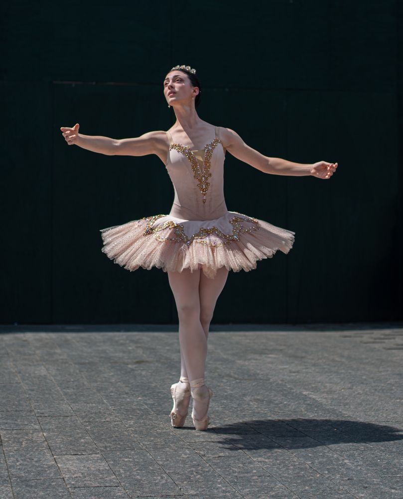 Фотография автора PIROOZ Moshavash