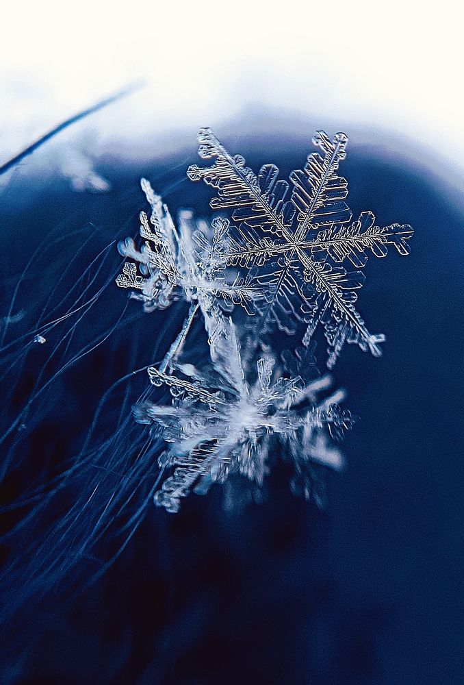 Полёт снежинок.