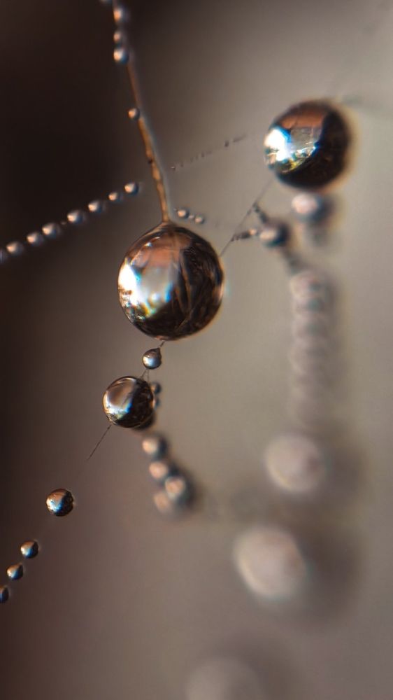 Photograph by Анна Демина