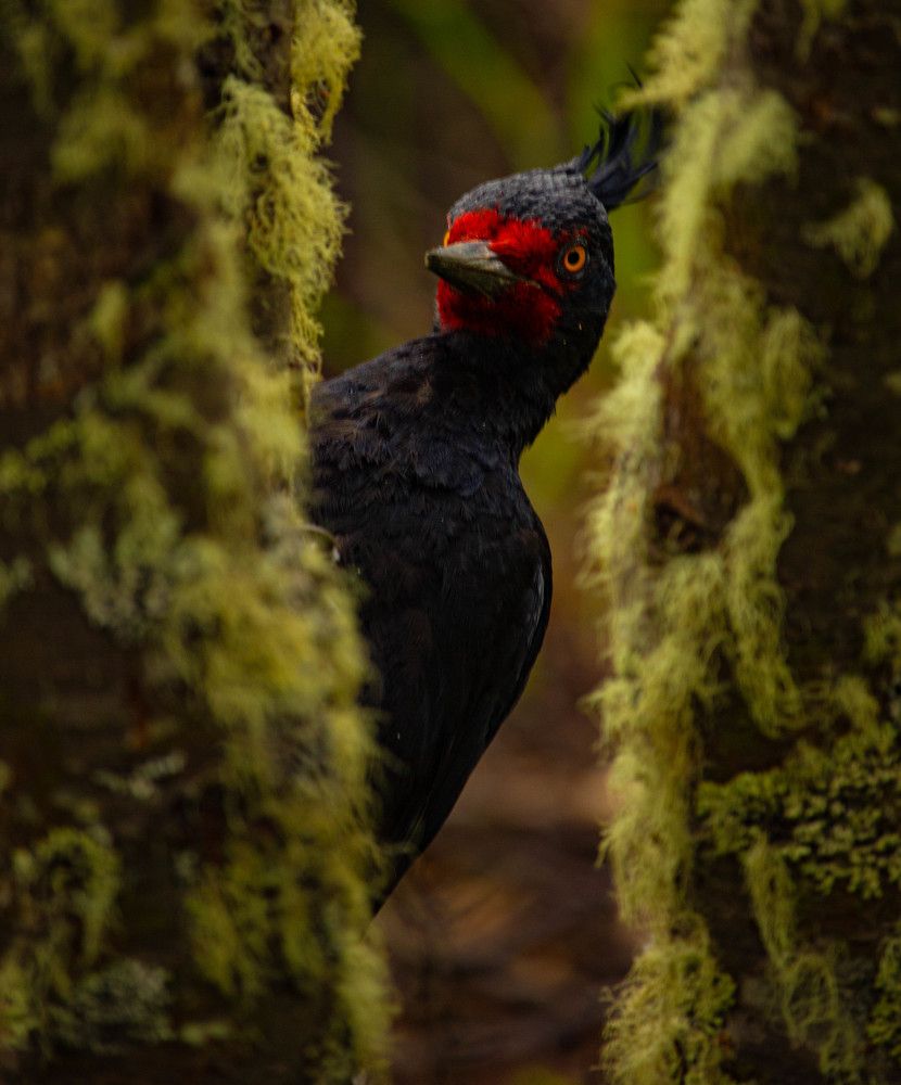 Photograph by Ekaterina Narozhnova