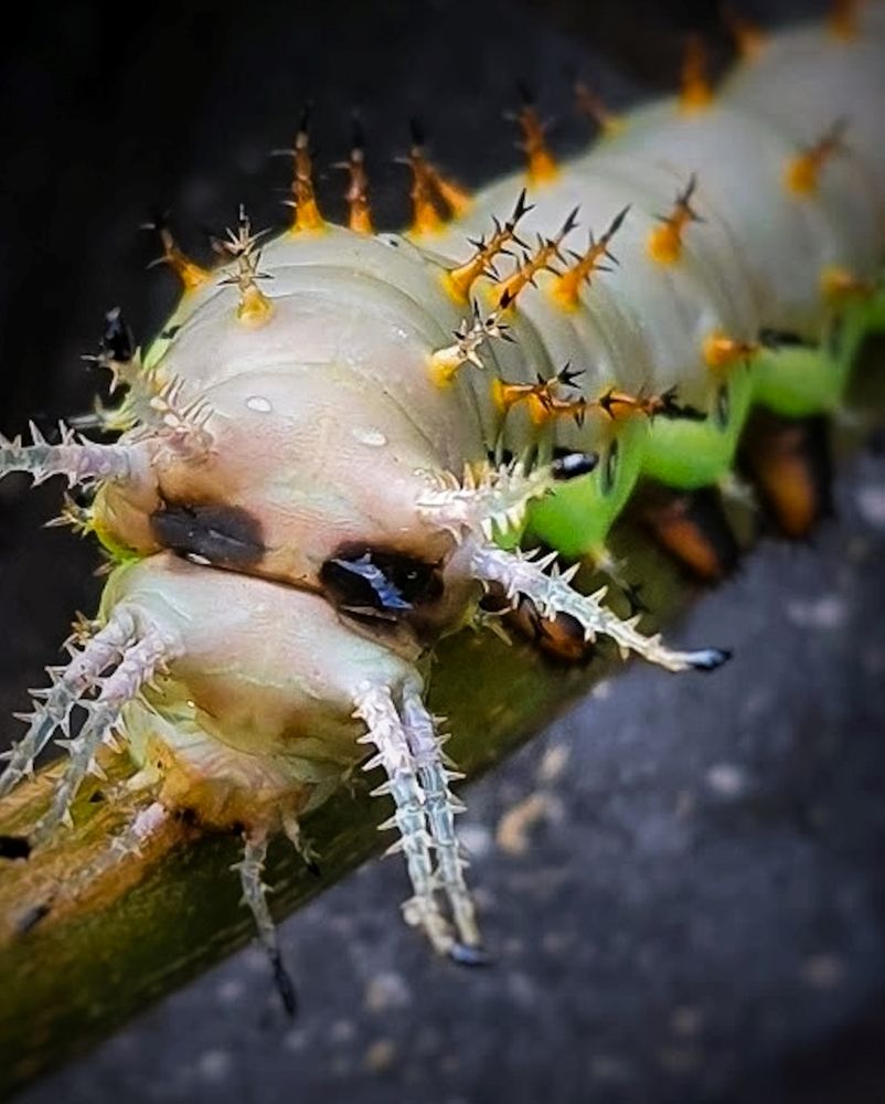 Photograph by adriana menez