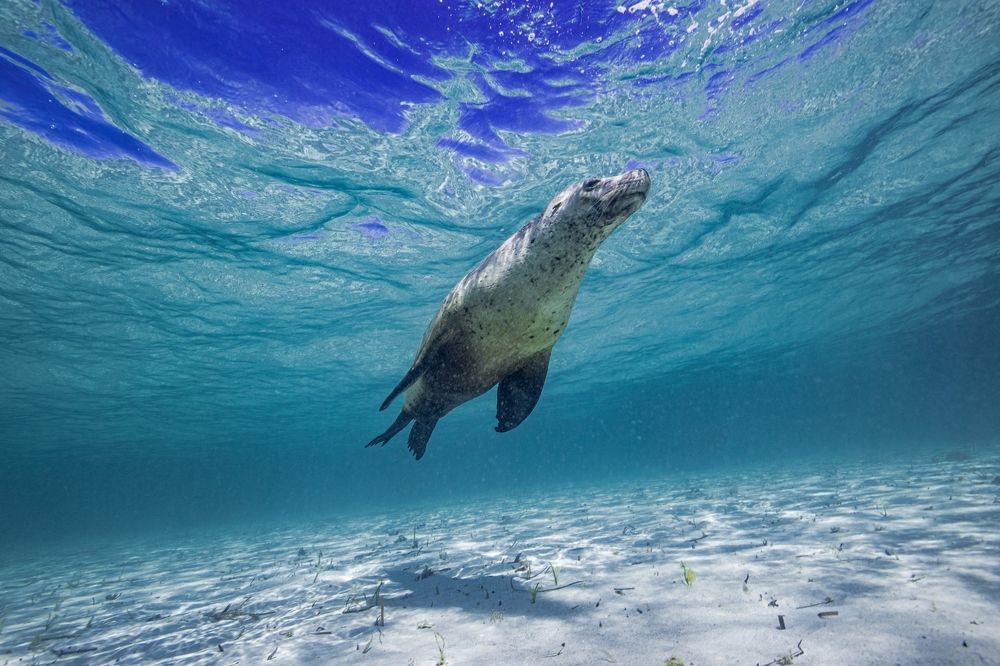 Photograph by Junya Higashi