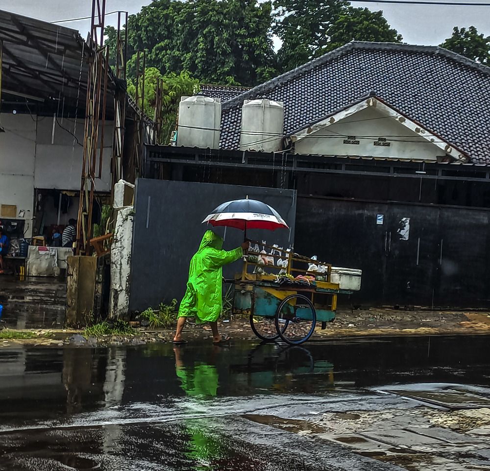 Itinerant vegetable seller