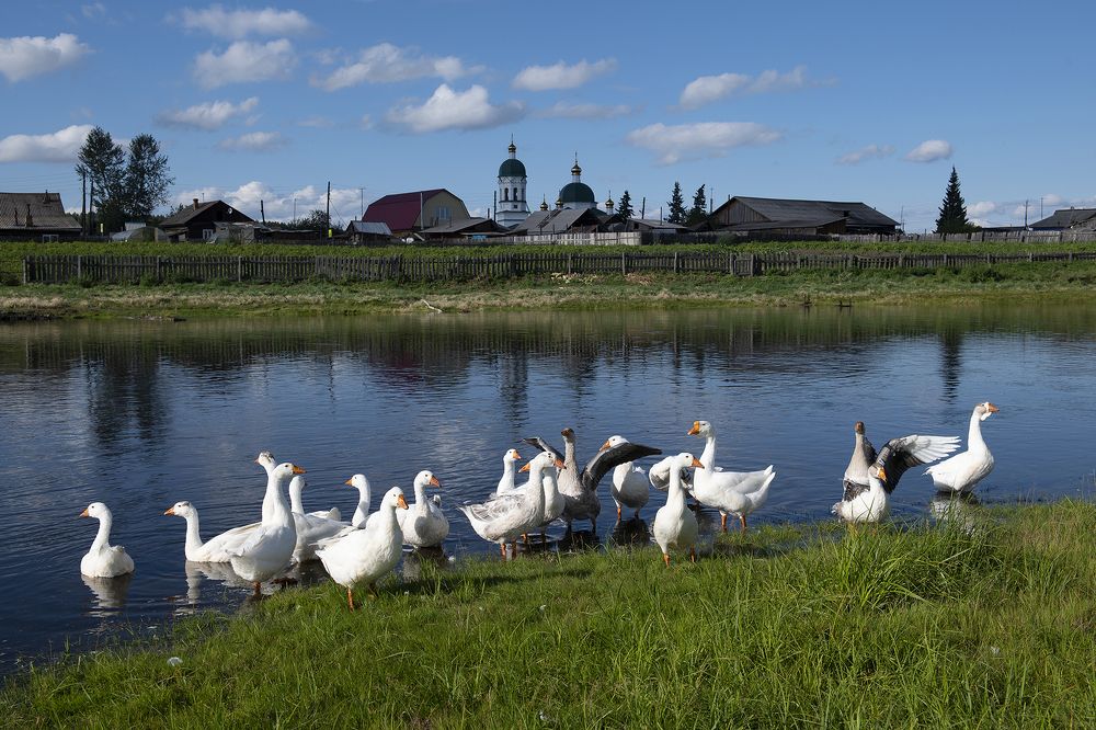 На солнышке.