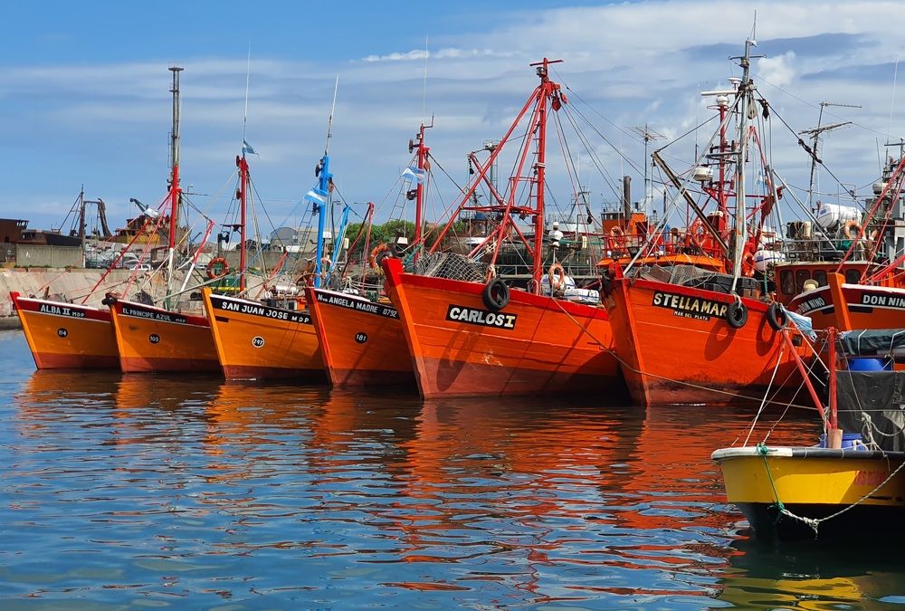 Photograph by Vladimir