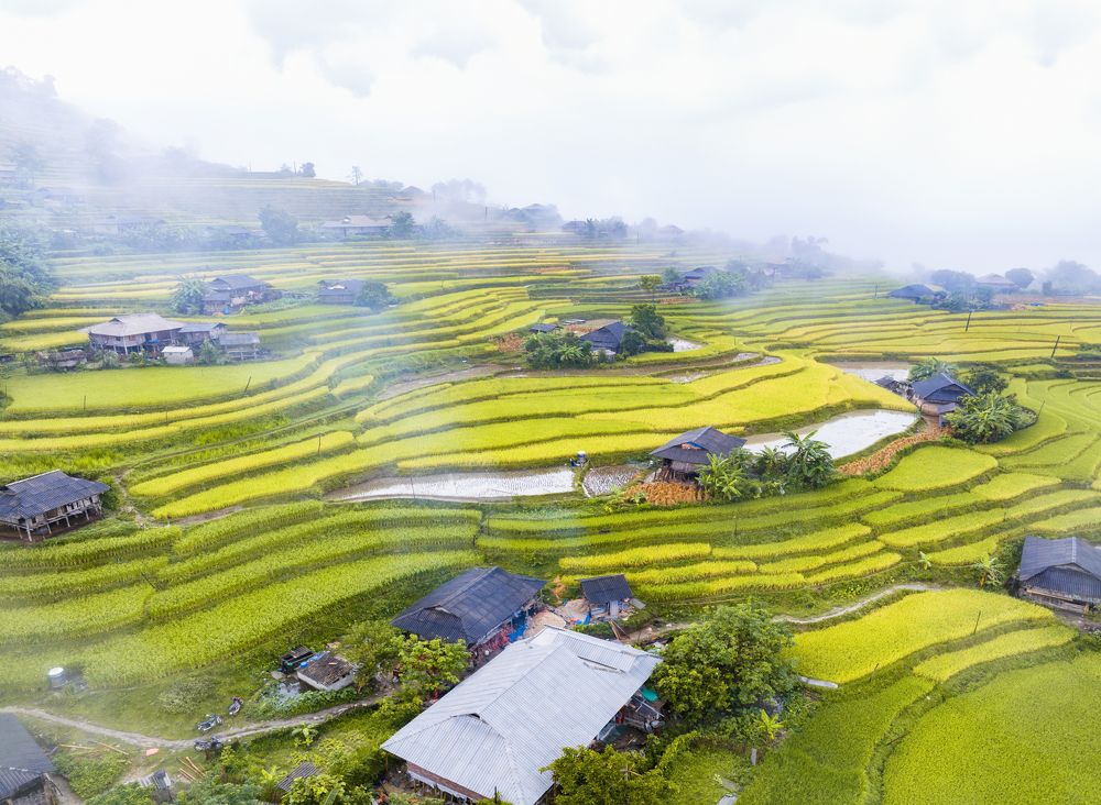 Photograph by Tran Khoa