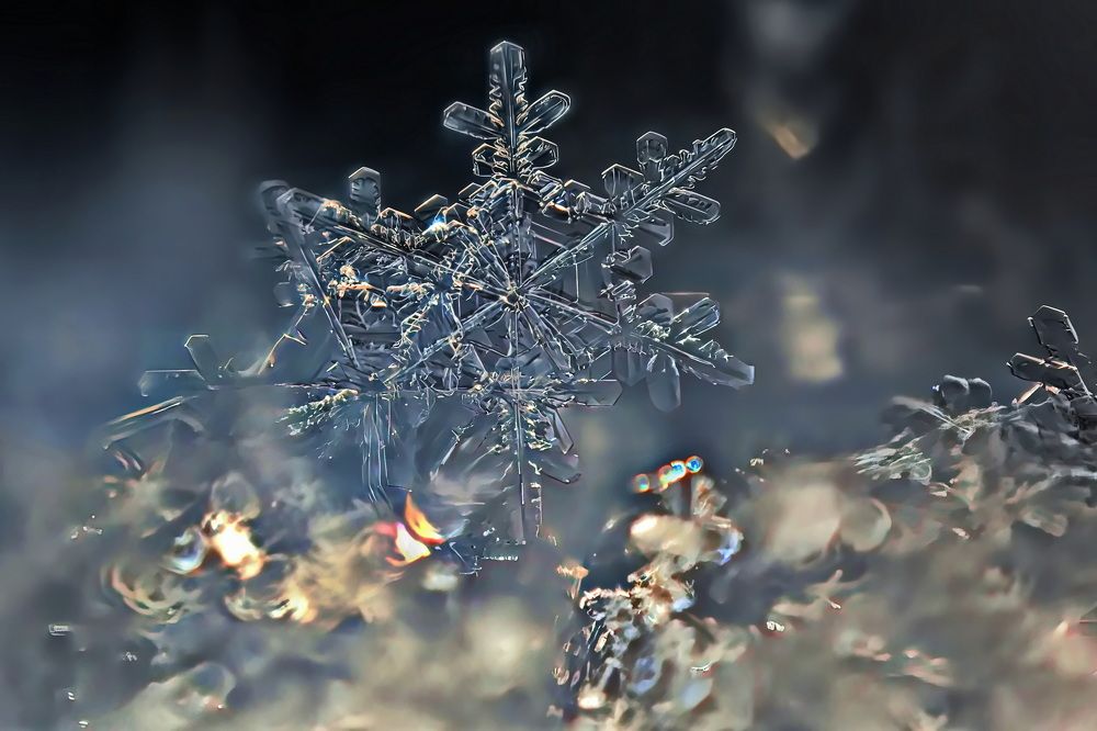 Photograph by Кузнецов Дмитрий