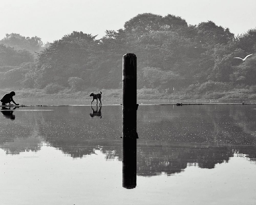 Photograph by Kedar Diwakar Mandakhalikar