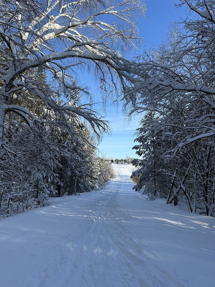 Photograph by Марина