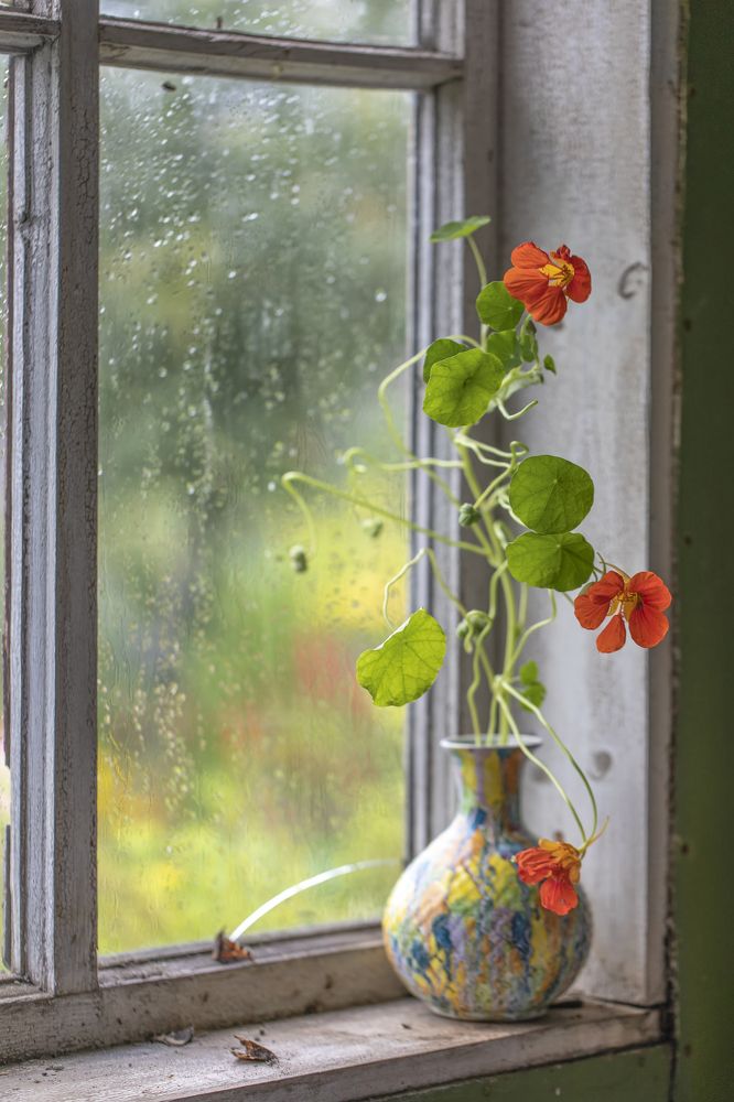 Photograph by Феденкова Татьяна