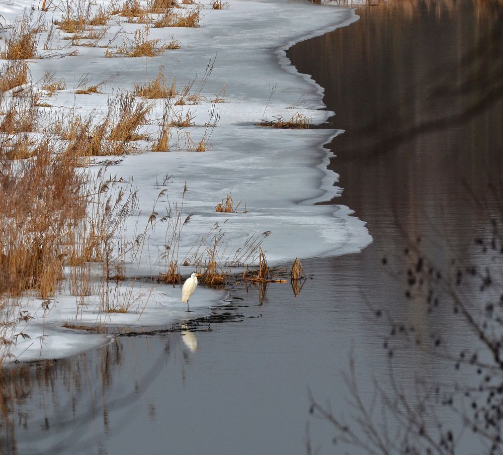 Фотография автора Антип