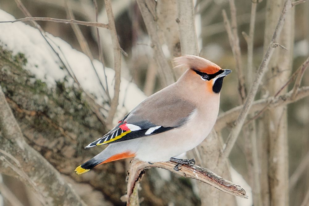 Photograph by Татьяна Семенова