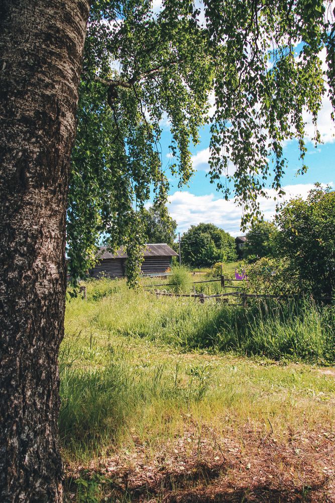 Photograph by Марина Копылова