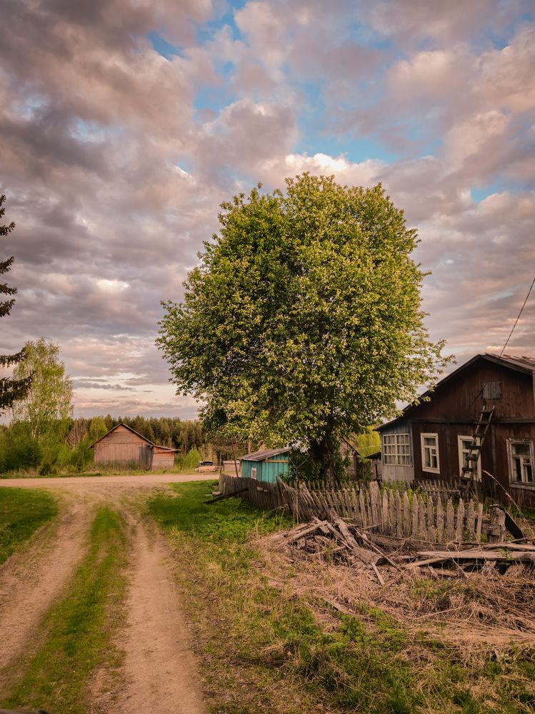 Photograph by Марина Копылова