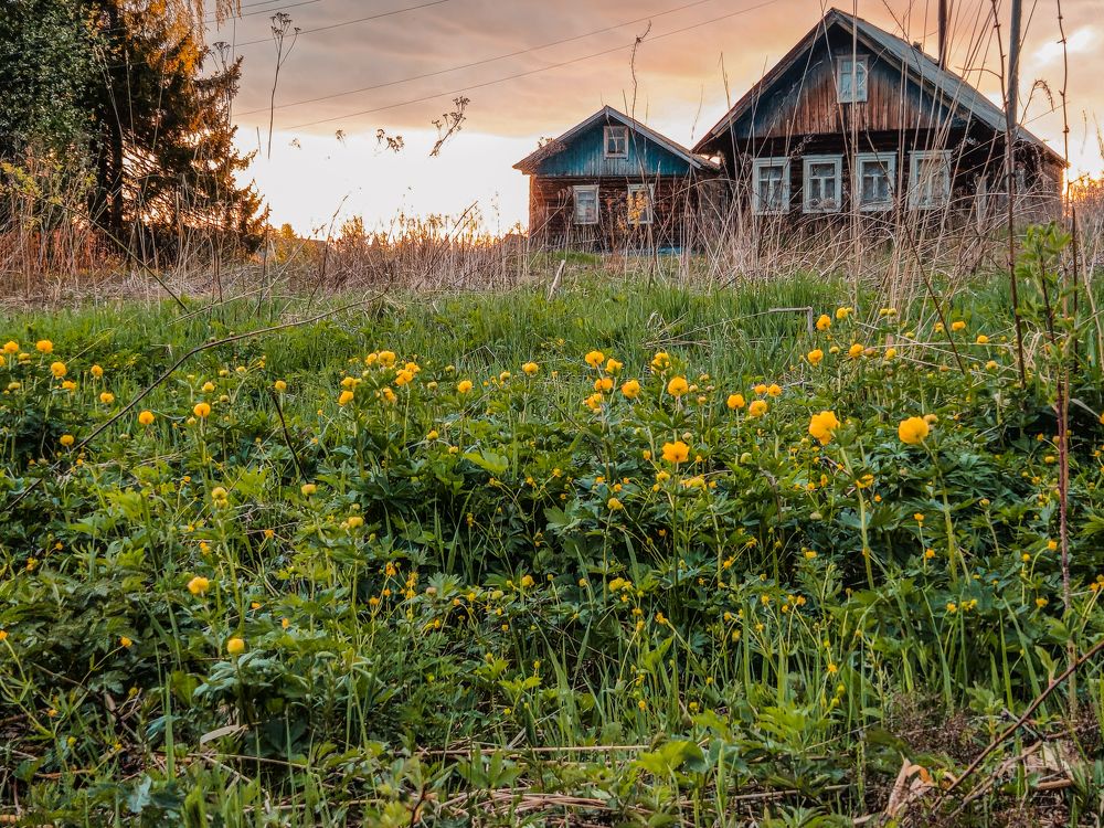 Photograph by Марина Копылова