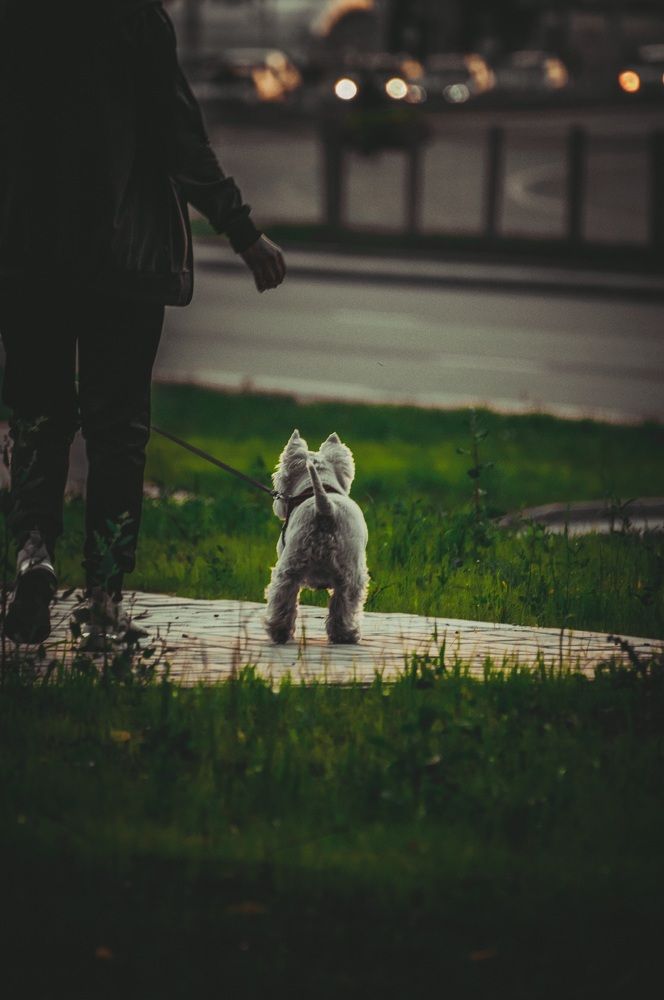 Photograph by Максим Шумченя