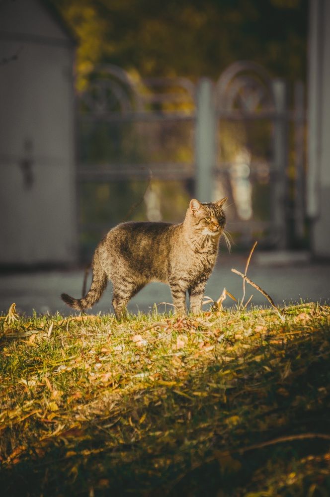 Photograph by Максим Шумченя