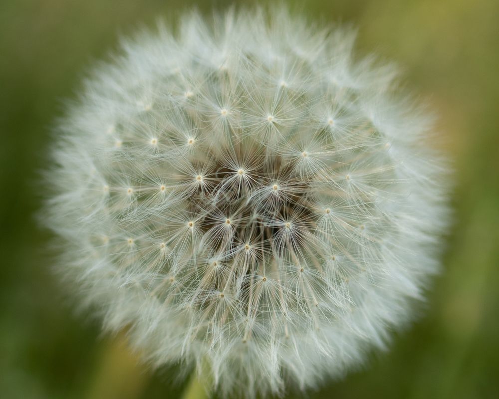 Photograph by Анжелика Сороколетова