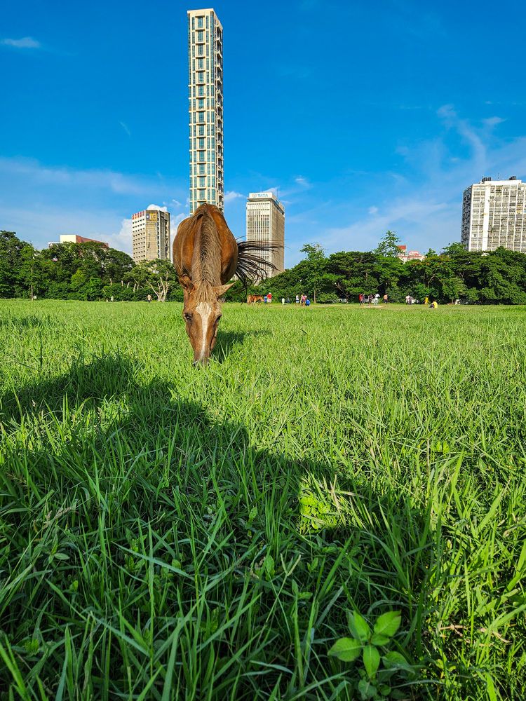 Photograph by Debtanu Roy