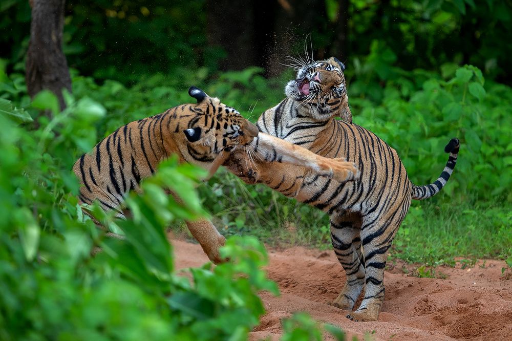 Photograph by Gade Neeraj