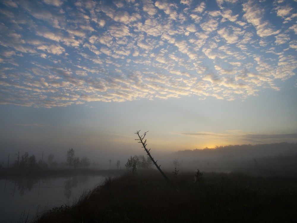 Photograph by Алексей Поляков