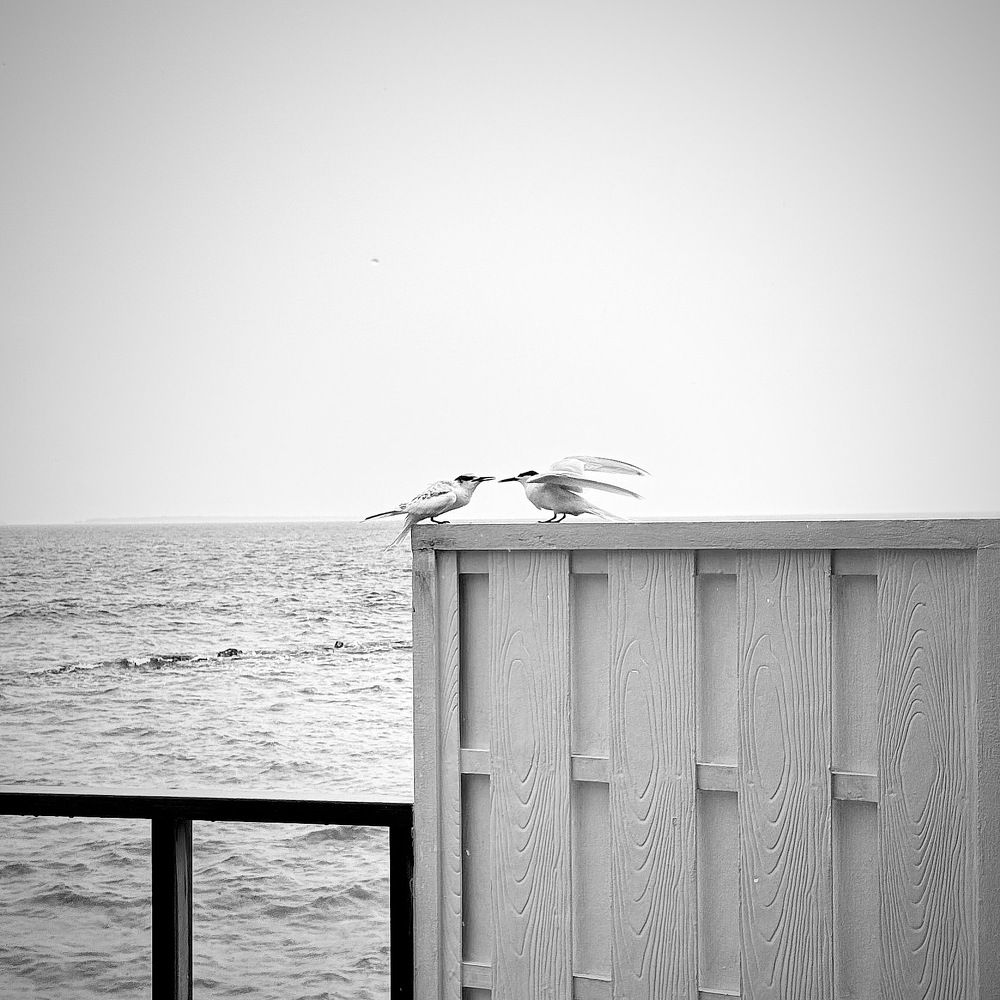 Фотография автора Dr Naren Telluri