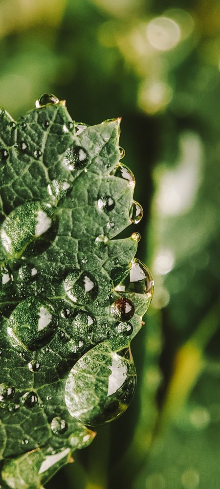 Photograph by Екатерина Федотова