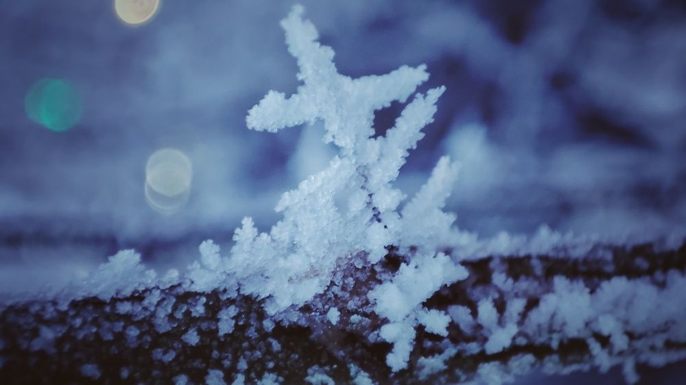 Photograph by Наталья Калюнова