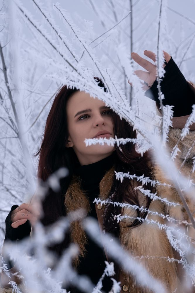 Photograph by Karpenko Denis