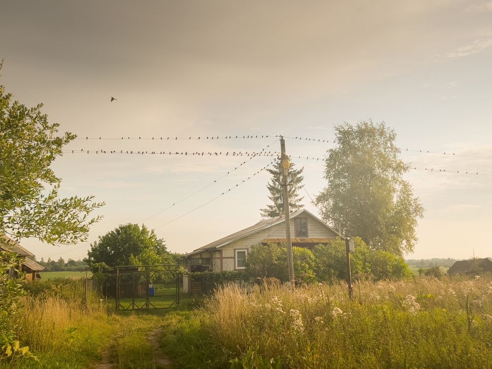 Photograph by T.Ю. Гринько