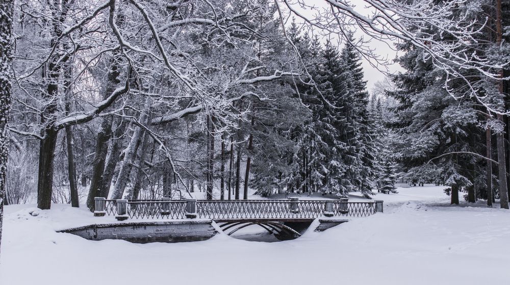 Photograph by Sergey Paramonov