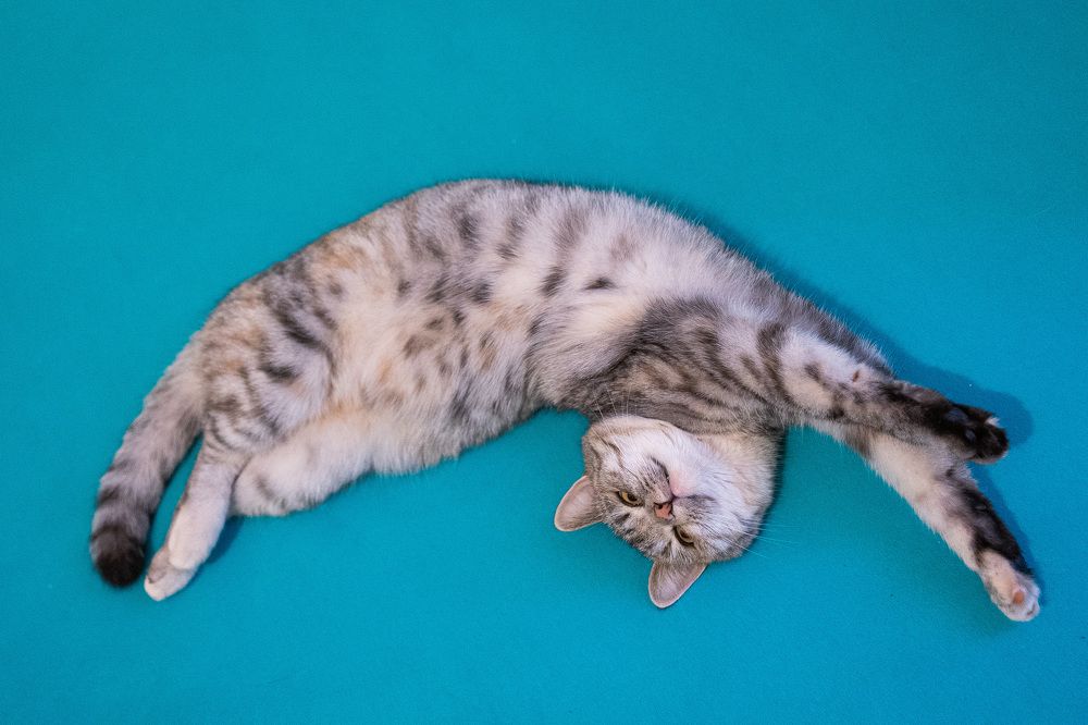 Photograph by Анастасия Петрова