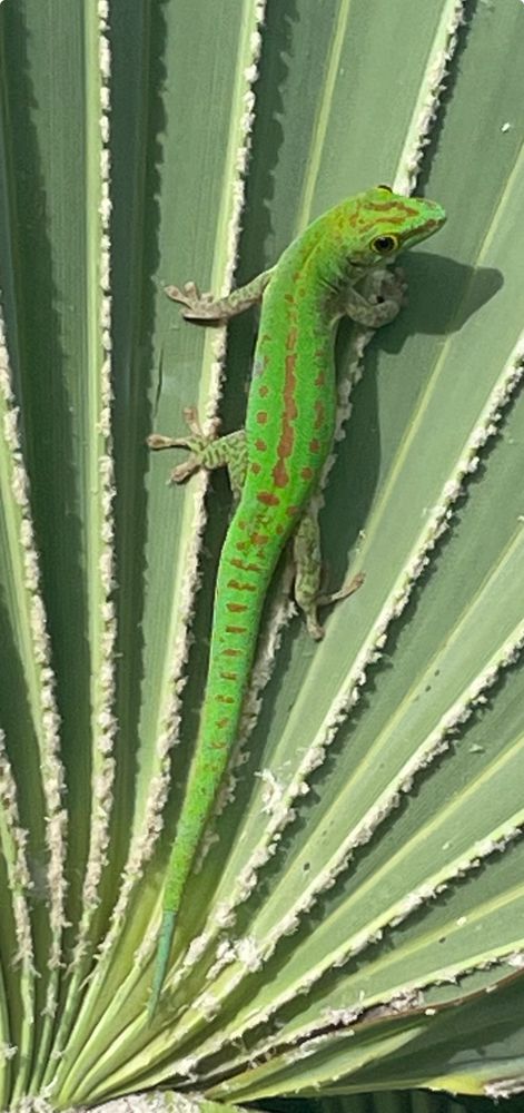 Photograph by Jms Augst