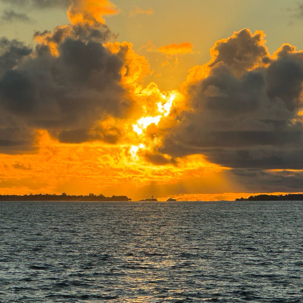 Фотография автора Dr Naren Telluri