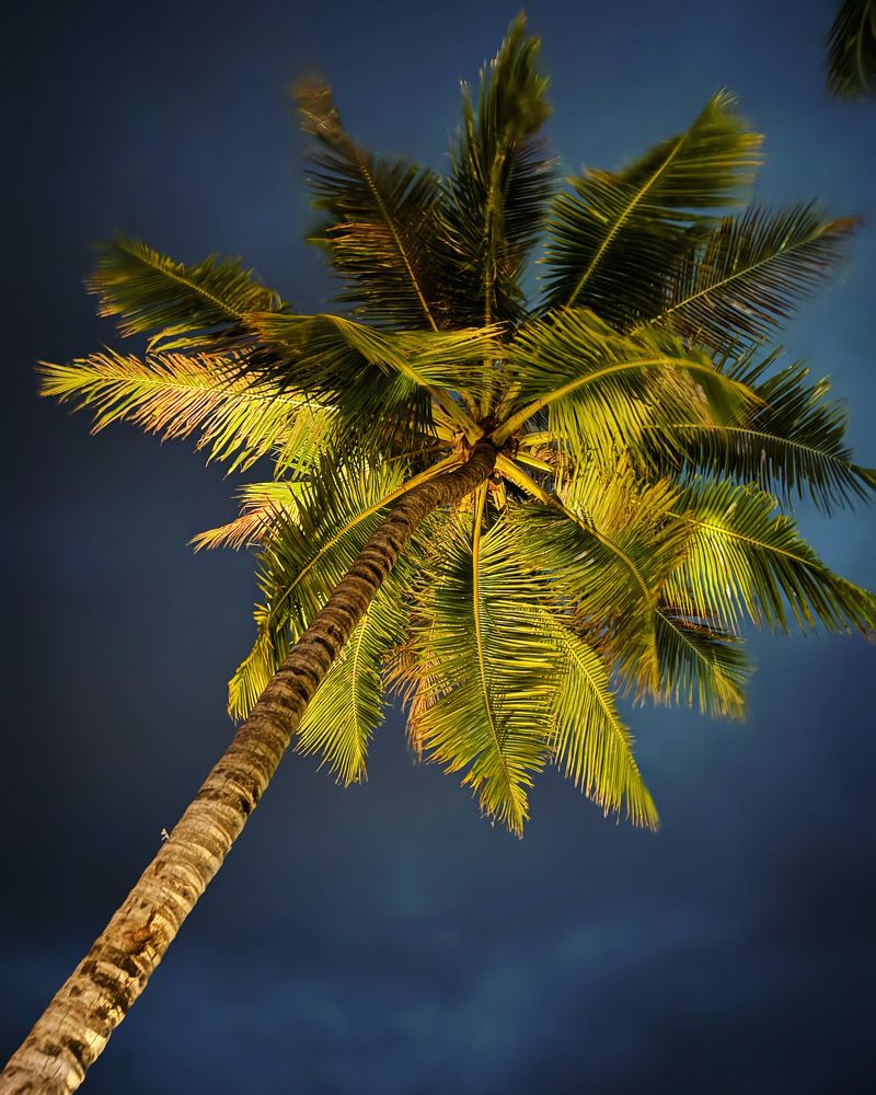 Фотография автора Dr Naren Telluri