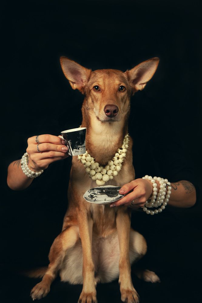 Photograph by Светлана Дроздова