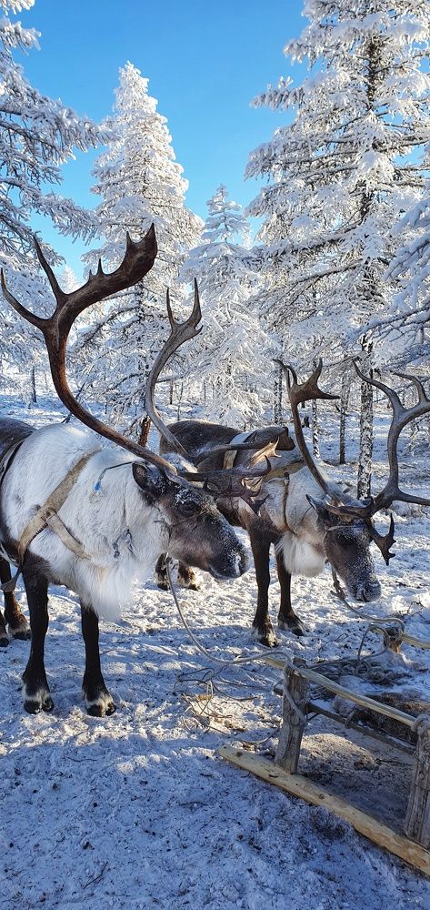 Оймякон. Самый холодный регион мира
