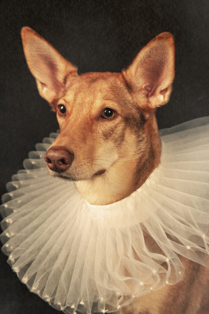 Photograph by Светлана Дроздова